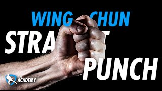 The Wing Chun Straight Punch  Everything You Need To Know [upl. by Iroc]