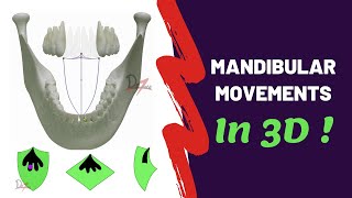 Mandibular Movements in 3D  SUPER EASY [upl. by Laughry]