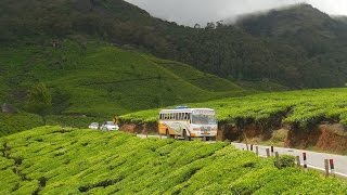 Munnar Kerala  Waterfalls  Tea garden  Dam  Fog  Spice garden [upl. by Nairrad]