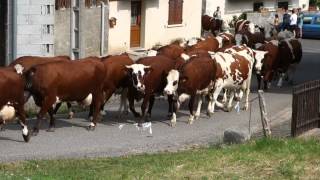 Les Bauges montée vers lArclusaz [upl. by Melesa]