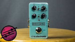 TC Electronic Quintessence Harmonizer Demo Ambient Guitar Gear Review [upl. by Ahseekan212]