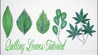 QUILLING LEAVES TUTORIAL P2  DIY PAPER LEAVES TUTORIAL [upl. by Cavil]