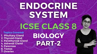 Endocrine System  ICSE CLASS 8 Biology  Part  2 [upl. by Ahsaelat]