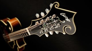 Inside Collings Mandolins [upl. by Leirda]