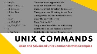 Basic and Advanced Unix Commands with Examples Tutorial 2 Part A [upl. by Ahsain]