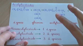 Acilglicéridos  Biología Lípidos [upl. by Clim]