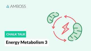 Energy Metabolism  Part 3 Regulation of Glycolysis [upl. by Hamer]