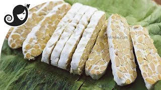 How to Make Tempeh Homemade  Easy Method [upl. by Miehar349]