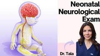 How to perform the NEURO exam on a baby HeadtoToe CNS evaluation [upl. by Haneehs]