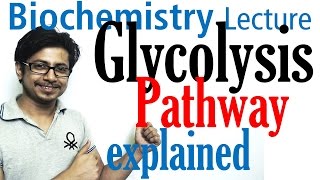 Glycolysis biochemistry [upl. by Ulita]