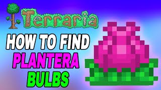 Terraria How To Find Planteras Bulb Easy Fast Tutorial [upl. by Inaluahek]