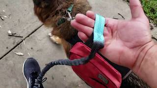 Hands Free Jogging Dog Leash Review with our German Shepherd [upl. by Saire901]