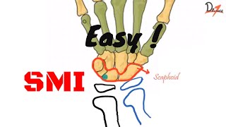 Skeletal maturity indicators  Handwrist Anatomy [upl. by Fisken]