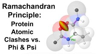 Ramachandran Principle Protein Atomic Clashes vs Phi amp Psi [upl. by Jennifer]