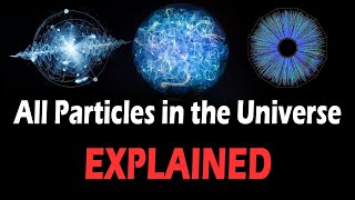 Every Particle in the Universe in 8 minutes [upl. by Aztiley]