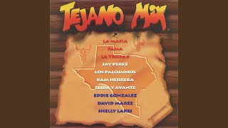 Tejano Megamix Long Version [upl. by Hough1]