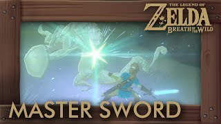 How to Recharge Master Sword IMMEDIATELY  Zelda Breath of the Wild [upl. by Wyatan]