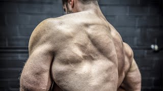 BIG BACK WORKOUT  BEST VTAPER EXERCISES [upl. by Nessnaj]