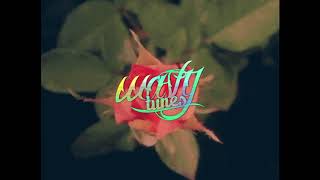 outkast  roses slowedreverb [upl. by Gettings]