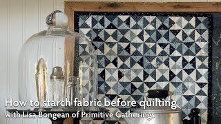 How to starch fabric before quilting with Lisa Bongean  Martingale [upl. by My498]