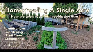 Our 1 Acre Homestead  How We Micro Farm [upl. by Franni]