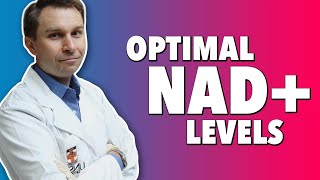 What Is NAD Longevity Boosts of Nicotinamide Adenine Dinucleotide amp NMN [upl. by Helas]