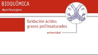 OXIDACIÓN ACIDOS GRASOS INSATURADOS YT [upl. by Upali]