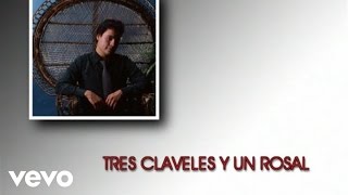 Juan Gabriel  Tres Claveles y Un Rosal Cover AudioVideo [upl. by Edaw]