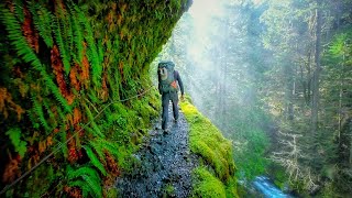 Eagle Creek Trail  Oregon USA  Stunning Footage [upl. by Uy244]