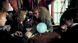 Hermione and Prof Trelawney [upl. by Ardien]