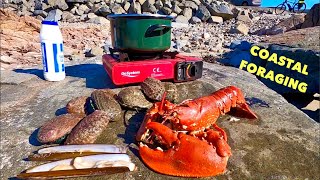 COASTAL FORAGING  Big Lobster  Razor Clams Abalone  Crabs amp Flatfish  Beach COOKING [upl. by Adnir]