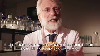 De Ziekte van Alzheimer afremmen [upl. by Laamaj]