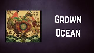 Fleet Foxes  Grown Ocean Lyrics [upl. by Honig]