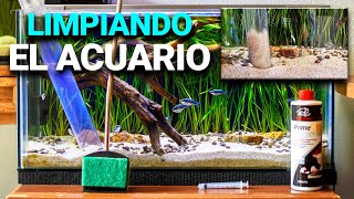 Te enseño a LIMPIAR tu ACUARIO como debe ser [upl. by Boulanger]