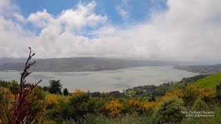 4K Dunedin Otago Peninsula NEW ZEALAND ニュージーランド 紐西蘭 Part 66 [upl. by Lindner]