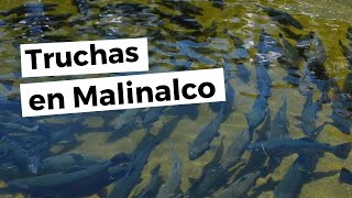 ¿Qué comer en Malinalco  Criadero de truchas  Cómo llegar menú precios nieve Malinalli y más [upl. by Colene]