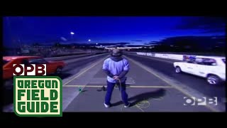 Electric Car Drag Racing  Oregon Field Guide [upl. by Llenhoj]