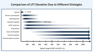 Interpretation of LFTs Liver Function Tests [upl. by Essiralc270]