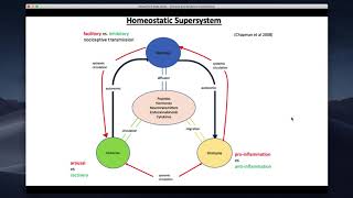 The Body on Stress  Allostasis and Allostatic Load [upl. by Rama]