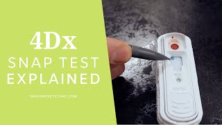 The 4DX Snap Test Explained by Dr Leigh Chisholm at Seasons Vet Clinic [upl. by Asalocin]