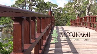 MORIKAMI Museum and Japanese Gardens Delray Beach Florida [upl. by Esereht]