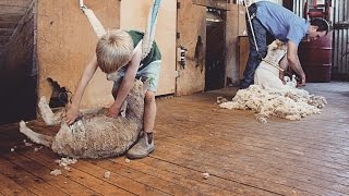 Charlie the Shearing Kid  Behind the News [upl. by Airet]