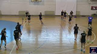 Handball Passing Drill 3 [upl. by Gahan]