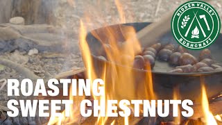 Campfire Cooking  How to Roast Chestnuts [upl. by Thedrick]