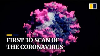 First 3D scan of the real coronavirus revealed [upl. by Eilata]