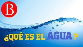 El AGUA y sus propiedades  TODO SOBRE EL AGUA [upl. by Annav]