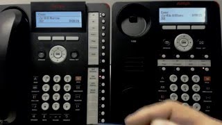 1 Basic Call Handling Avaya 1416 1408 Phones [upl. by Einwahr]