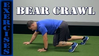 Exercise Bear Crawl [upl. by Eerpud]