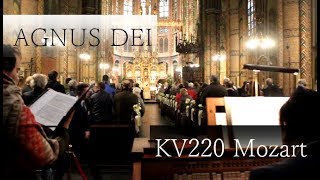 SPATZENMESSE  Agnus Dei  LIVE  KV 220 WA Mozart [upl. by Aidualc]