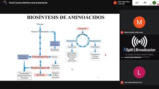 Metabolismo  Biosíntesis de Aminoácidos [upl. by Ielak]